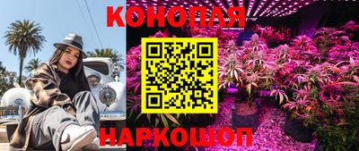 МДПВ Мариинск