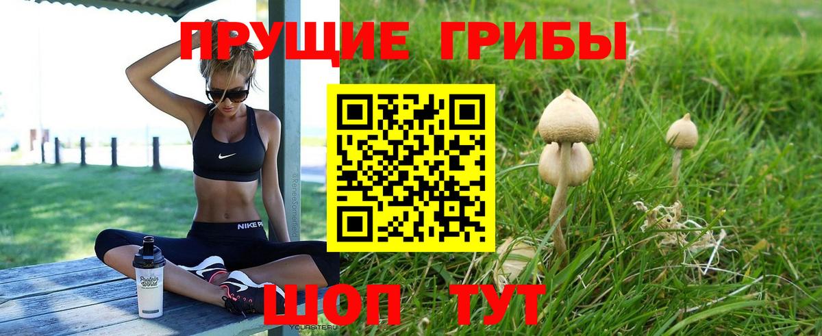 Владивосток  Галлюциногенные грибы Psilocybe  Вход с VPN 